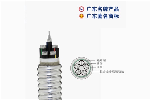 珠江電線機構(gòu)倡導(dǎo)服務(wù)品質(zhì)全方位加強